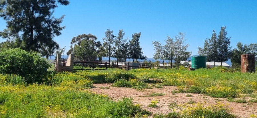 0 Bedroom Property for Sale in Redelinghuys Western Cape